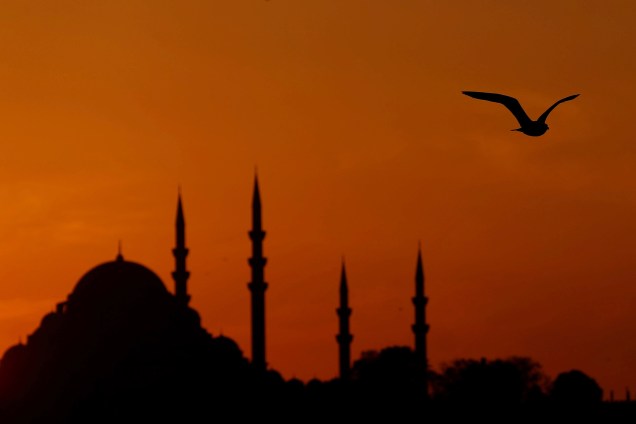 Gaivota voa sobre o Bósforo enquanto o sol se põe sobre a mesquita Suleymaniye em Istambul, Turquia - 14/11/2017