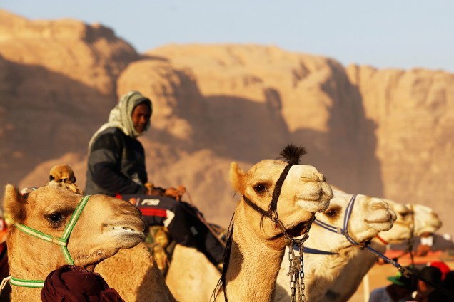 Camelos participam de corrida em Wadi Rum, na Jordânia - 02/11/2017