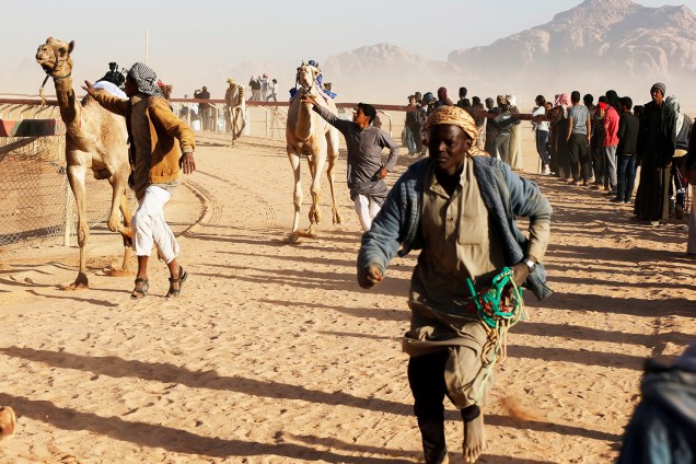 Donos de camelos conduzem seus animais em corrida anualmente realizada no vale de Wadi Rum, na Jordânia - 02/11/2017
