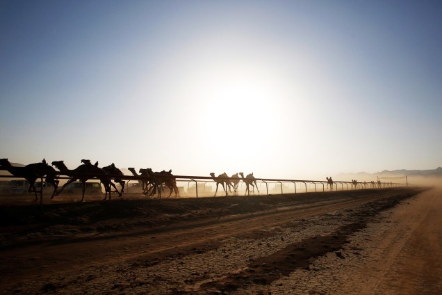 Foi construída uma pista para a realização de corrida para camelos, anualmente realizada em Wadi Rum, na Jordânia. Competidores de diversos países do Oriente Médio participam do evento - 02/11/2017