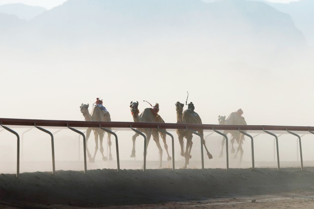 Camelos disputam corrida de 5km, em evento que ocorre anualmente no vale de Wadi Rum, na Jordânia - 02/11/2017
