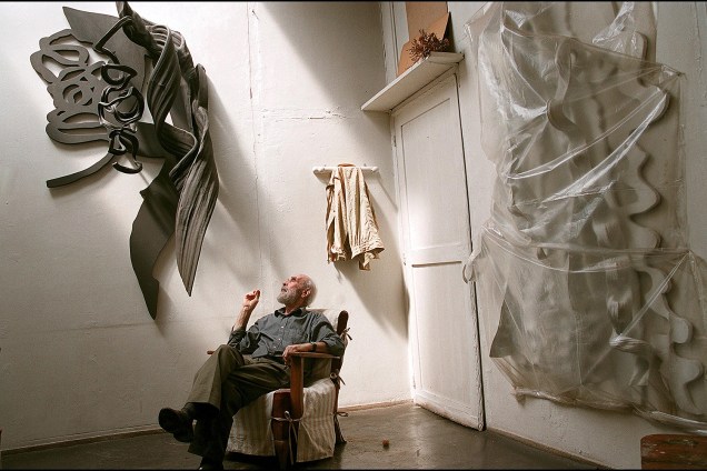 O artista plástico Frans Krajcberg - 01/05/2002