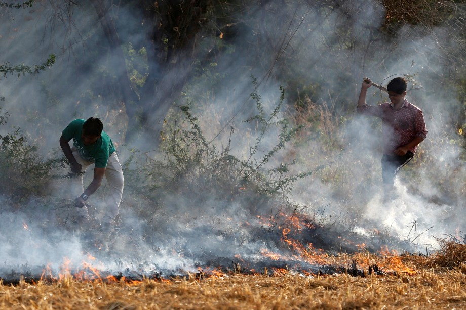 Fazendeiros queimam resíduos de arroz em um campo nos arredores de Ahmedabad, na Índia - 15/11/2017