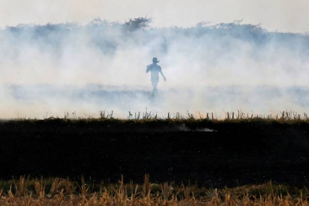 Um fazendeiro queima resíduos de arroz em um campo nos arredores de Ahmedabad, na Índia - 15/11/2017 Um fazendeiro queima resíduos de arroz em um campo nos arredores de Ahmedabad, na Índia - 15/11/2017