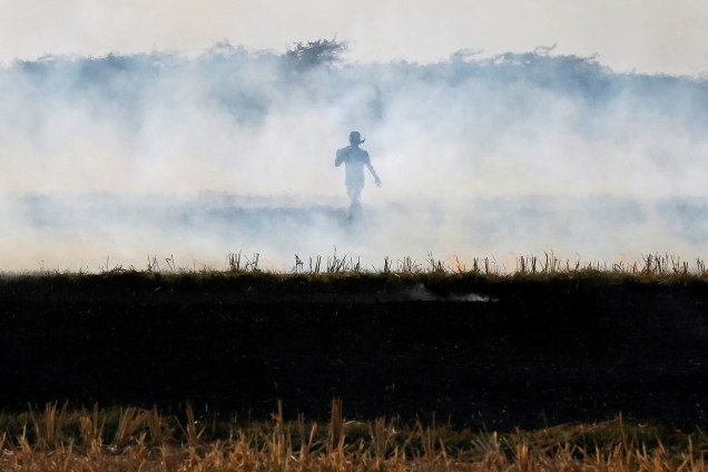 Um fazendeiro queima resíduos de arroz em um campo nos arredores de Ahmedabad, na Índia - 15/11/2017