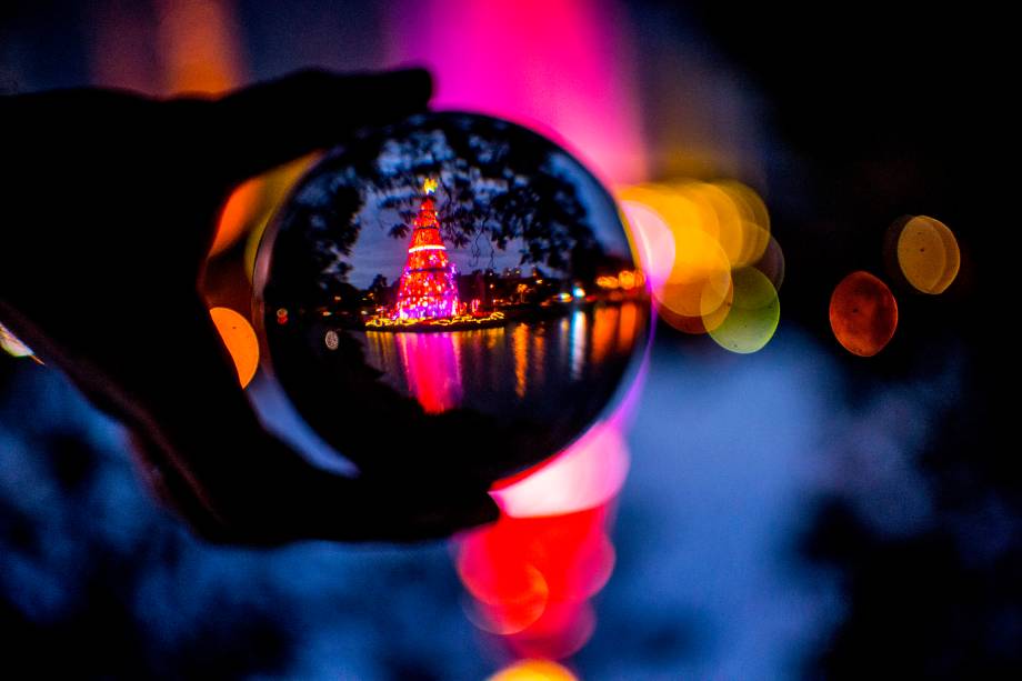 Público visita a árvore de Natal do Parque do Ibirapuera em São Paulo - 28/11/2017