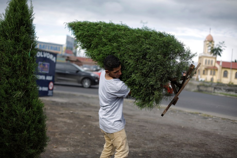 Homem carrega uma árvore de Natal depois de comprá-la de um vendedor de rua em San Jose, na Costa Rica - 30/11/2017