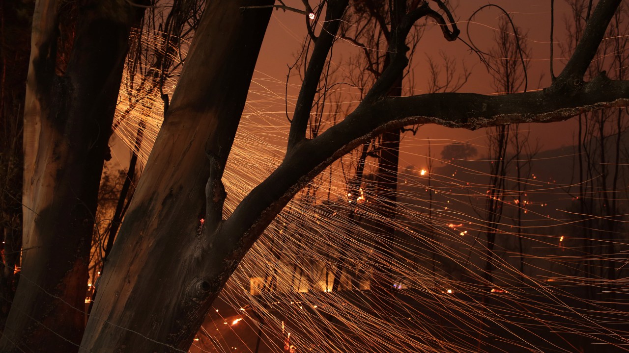 Imagens do dia - Incêndio florestal Thomas na California