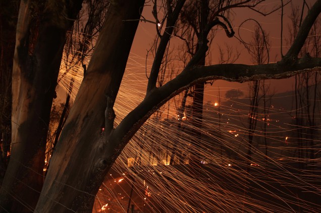 Labaredas são vistas sendo carregadas pelo vento durante o incêndio florestal Thomas, em Santa Paula, no estado americano da California - 05/12/2017