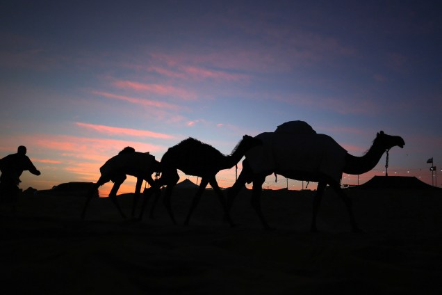 Emiratis participam do Festival Mazayin Dhafra Camel no deserto perto da cidade de Madinat Zayed, a 150 quilômetros a oeste de Abu Dhabi, nos Emirados Árabes - 27/12/2017