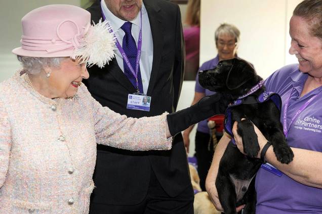 A Rainha Elizabeth II visita instituição que treina cães de assistência e ganha flores de labrador - 01/12/2017 A Rainha Elizabeth II visita instituição que treina cães de assistência e ganha flores de labrador - 01/12/2017