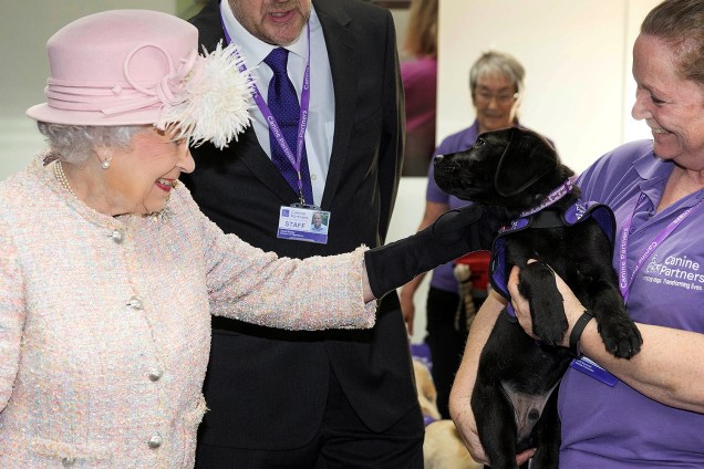 A Rainha Elizabeth II visita instituição que treina cães de assistência e ganha flores de labrador - 01/12/2017