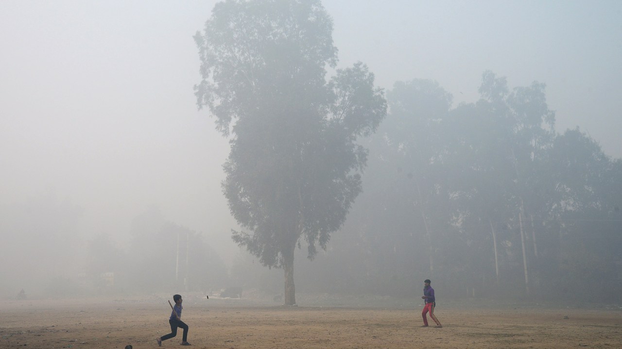 Imagens do dia - Poluição na Índia