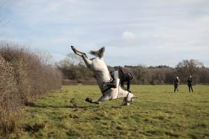 Cavalo erra o salto durante a caçada do Boxing Day, na Inglaterra