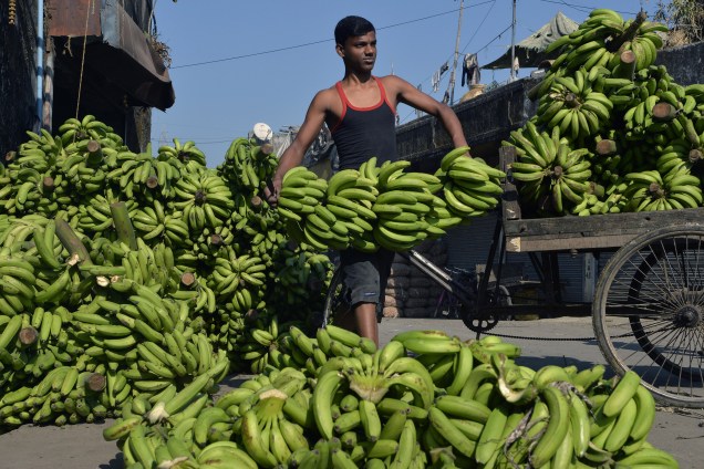Trabalhador organiza os cachos de bananas em um mercado de frutas em Siliguri, na Índia - 07/12/2017