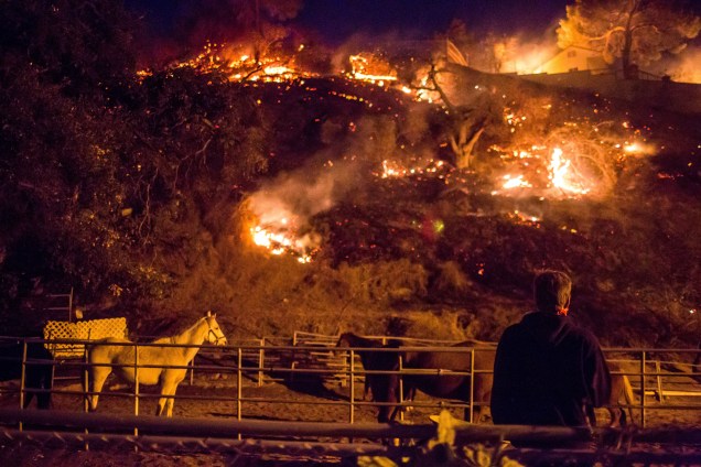 Homem observa a destruição deixada pelo incêndio Creek Fire em uma encosta no bairro de Shadow Hills, em Los Angeles, na Califórnia (EUA) - 05/12/2017