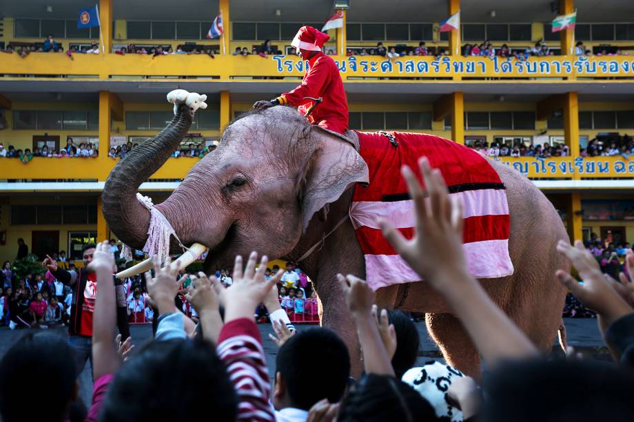 Elefante distribui bichinhos de pelúcia para alunos em escola de Ayutthaya, na Tailândia, durante a celebração do Natal - 22/12/2017