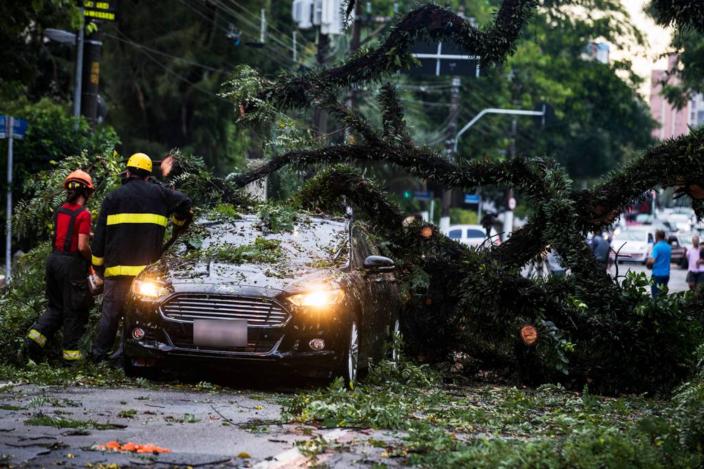 Fortes chuvas fizeram com que árvore de grande porte caísse sobre dois carros na Avenida Brasil, na região dos Jardins, zona oeste de São Paulo - 21/01/2018
