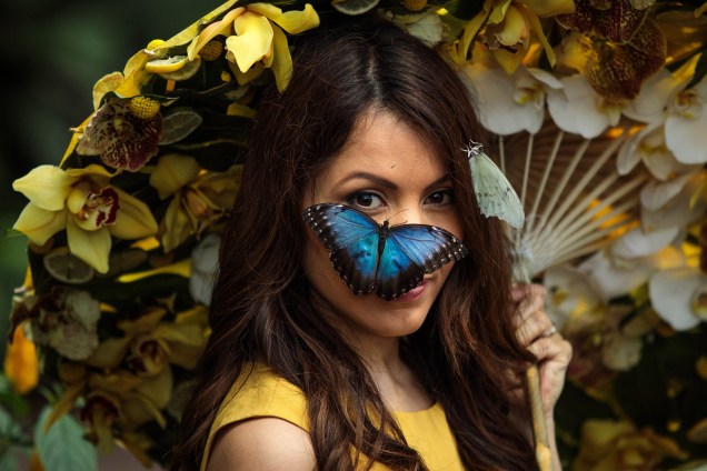 Uma borboleta morpho azul pousa no rosto da modelo Jessie Baker durante a exposição Butterflies in The Glasshouse RHS Garden Wisley em Woking, na Inglaterra - 12/01/2018