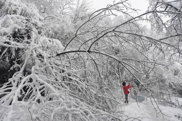 Um visitante tira fotos em meio a galhos de árvores cobertos de neve na montanha Zijin, em Nanjing, província de Jiangsu, na China - 04/01/2018