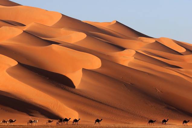 Camelos são vistos atravessando o deserto de Liwa, a cerca de 250 quilômetros ao oeste do Emirado do Golfo de Abu Dhabi, durante o Festival Liwa Moreeb Dune - 04/01/2018