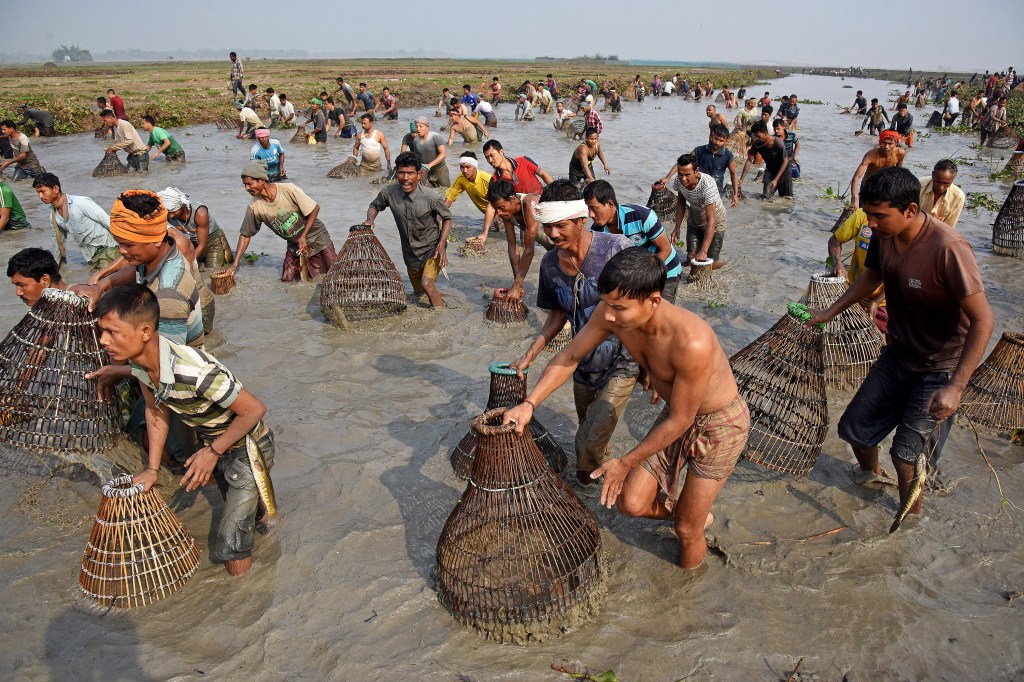 Imagens do dia - Festival da colheita de Assam na Índia