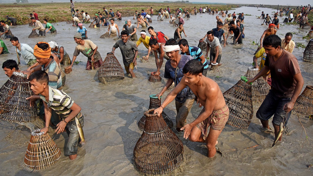 Imagens do dia - Festival da colheita de Assam na Índia