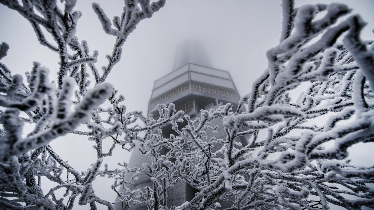 Imagens do dia - Nevasca atinge o oeste da Alemanha
