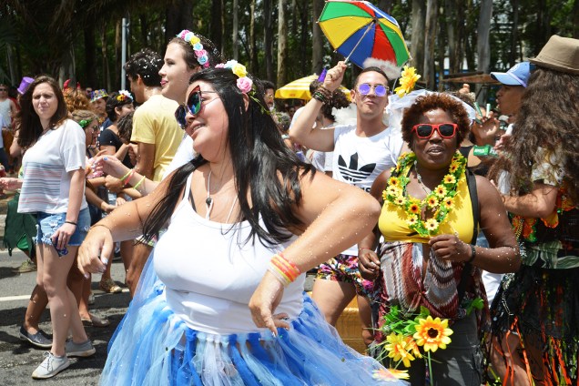 O bloco Frevo Mulher, com a cantora Elba Ramalho no Ibirapuera, anima o pré-Carnaval paulistano - 03/02/2018