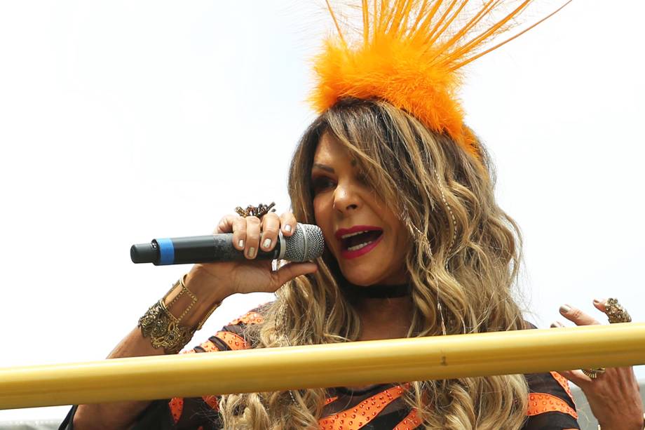 A cantora Elba Ramalho agita foliões no Bloco Frevo Mulher , na região do Parque do Ibirapuera, em São Paulo (SP) - 03/02/2018