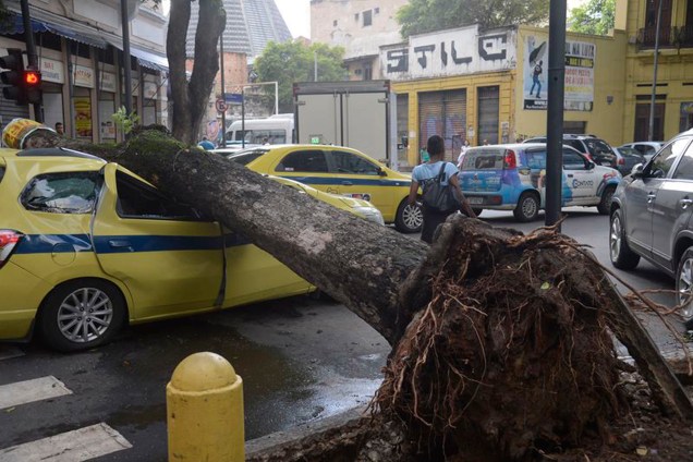 Árvore cai sobre carro, no centro, após forte temporal que atingiu a capital fluminense na madrugada - 15/02/2018