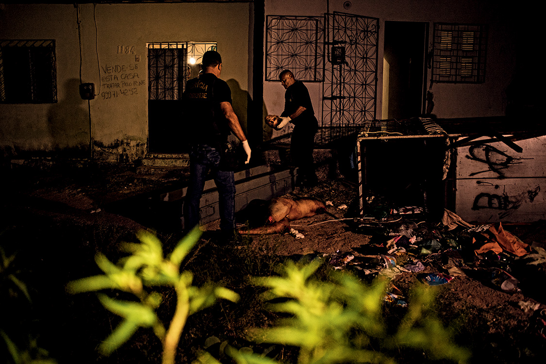 Linguagem do horror &ndash; Peritos recolhem corpo esquartejado, ao lado de c&oacute;rrego, em novembro: escalada da crueldade como demonstra&ccedil;&atilde;o de for&ccedil;a