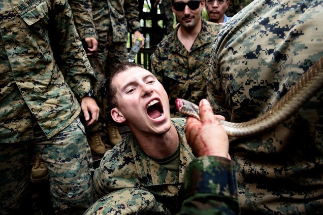 No cardápio dos marines dos Estados Unidos e Tailândia  estão sangue de cobras, rãs e escorpiões em um programa de sobrevivência da selva - 19/02/2018