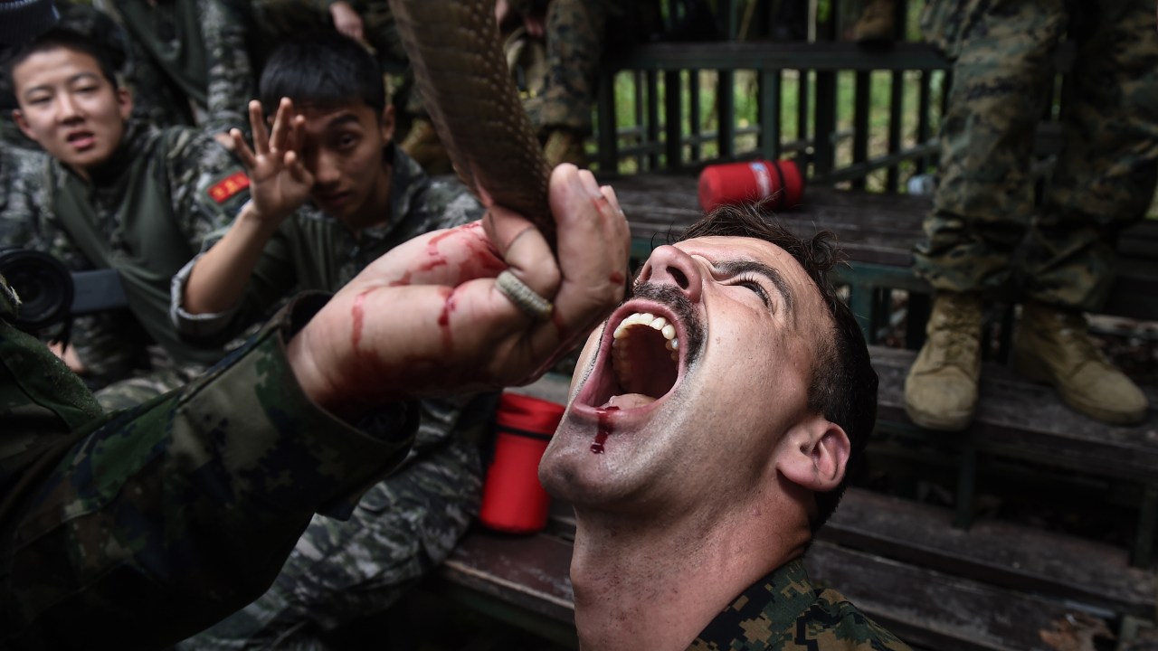 Marines americanos bebem sangue de cobra na Tailândia