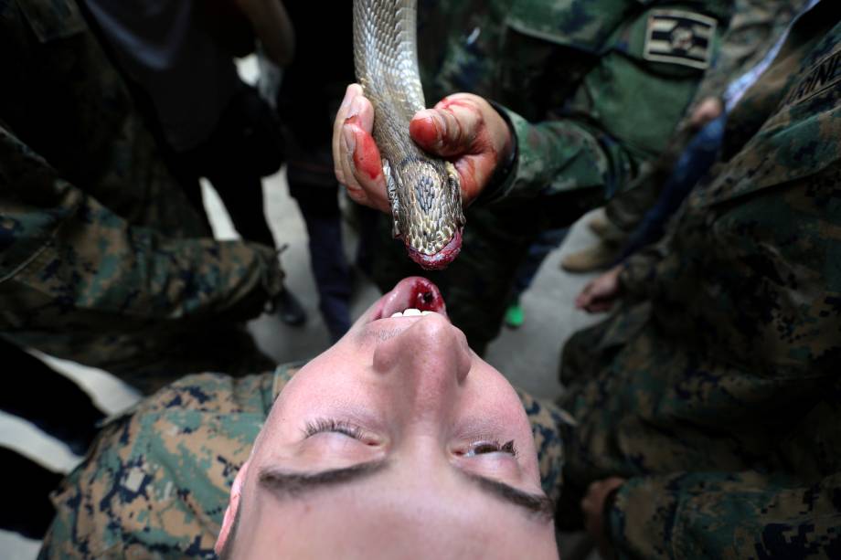 Marine americano bebe o sangue de uma cobra durante um exercício de sobrevivência na selva como parte do exercício militar conjunto "Cobra Gold 2018" na Tailândia - 19/02/2018