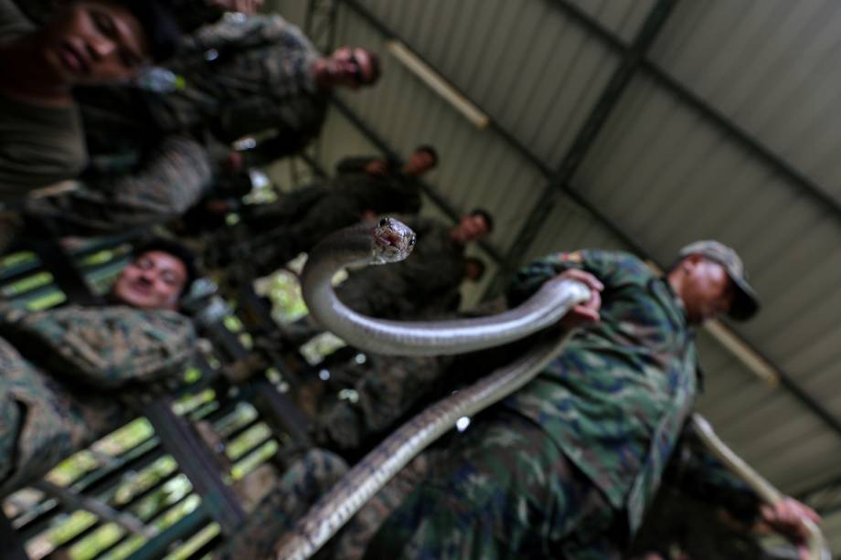 Comandante tailandês controla uma cobra durante exercício militar conjunto entre militares dos Estados Unidos e da Tailândia na província costeira de Chonburi - 19/02/2018