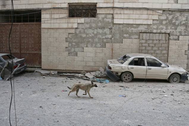Cão corre em meio aos escombros após um poderoso ataque aéreo das forças do governo da Síria na cidade rebelde de Hamouria, na região sitiada de Ghouta Oriental, nos arredores da capital, Damasco - 21/02/2018
