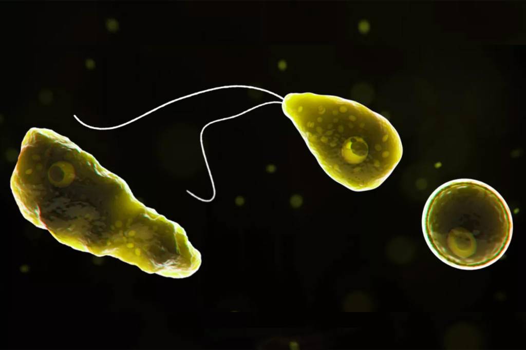 Ameba que ‘come cérebro’ mata menino de 8 anos na Argentina