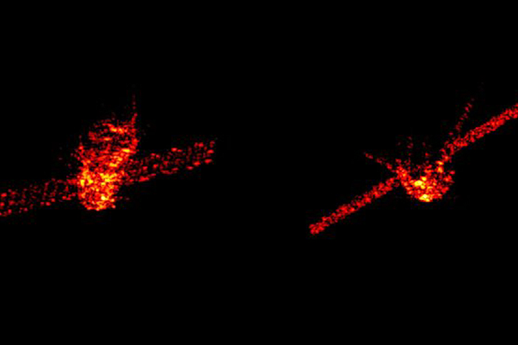Montagem de duas imagens da estação espacial chinesa Tiangong-1, que pode cair na Terra nos próximos dias - 29/03/2018