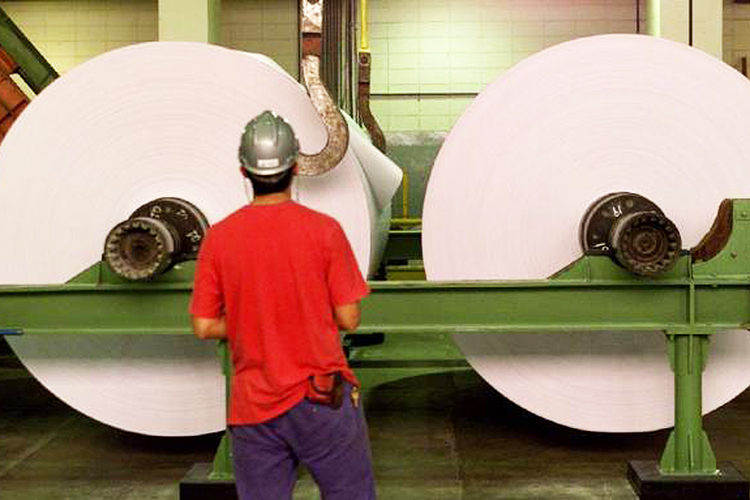 Funcionário observa bobinas de papel na unidade industrial da Cia. Suzano de Papel e Celulose, em Suzano (SP)