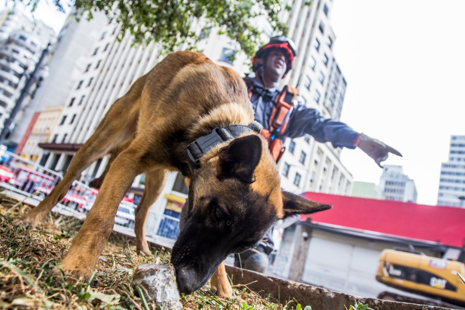 Trabalho das equipes de resgate no local do desabamento do edificio Wilton Paes de Almeida, no Largo do Paissandu, região central de São Paulo - 09/05/2018