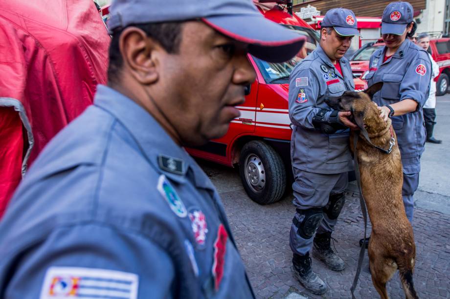 Cães farejadores auxiliam no trabalho das equipes de resgate no local do desabamento do edificio Wilton Paes de Almeida, no Largo do Paissandu, região central de São Paulo - 09/05/2018