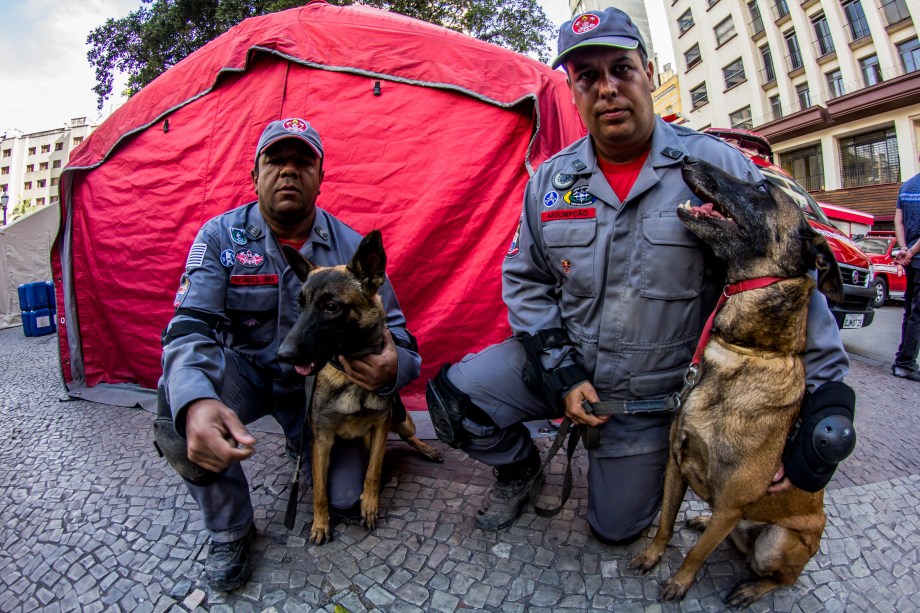 TCães farejadores auxiliam no trabalho das equipes de resgate no local do desabamento do edificio Wilton Paes de Almeida, no Largo do Paissandu, região central de São Paulo - 09/05/2018