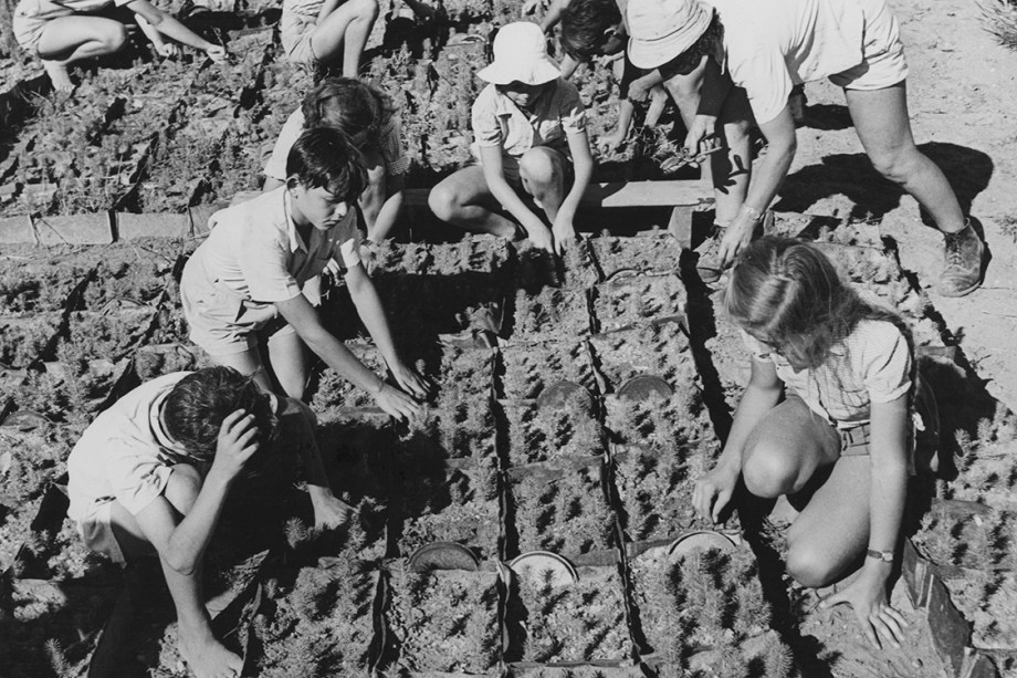 Crianças ajudam agricultores a plantar sementes - 1950