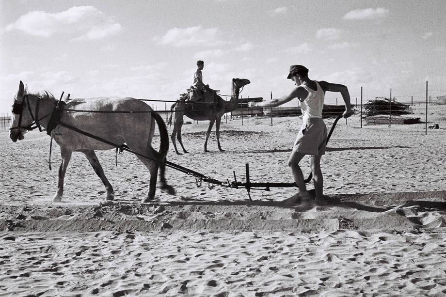 Pioneiros preparam terra para cultivo de vegetais - 01/07/1947