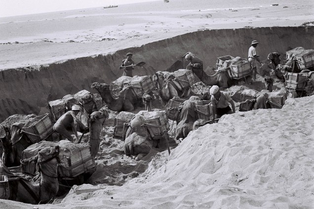Trabalhadores judeus utilizam camelos para transportar materiais utilizados em construções em Bat Yam, sul de Tel Aviv, durante o Mandato Britânico - 01/06/1939