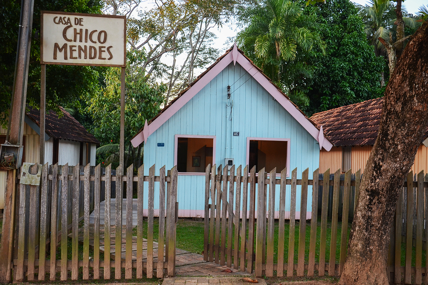 Legado de Chico Mendes agoniza com avanço da pecuária