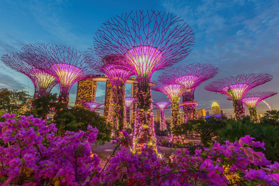 Vista noturna da Super Tree Grove no Gardens by the Bay