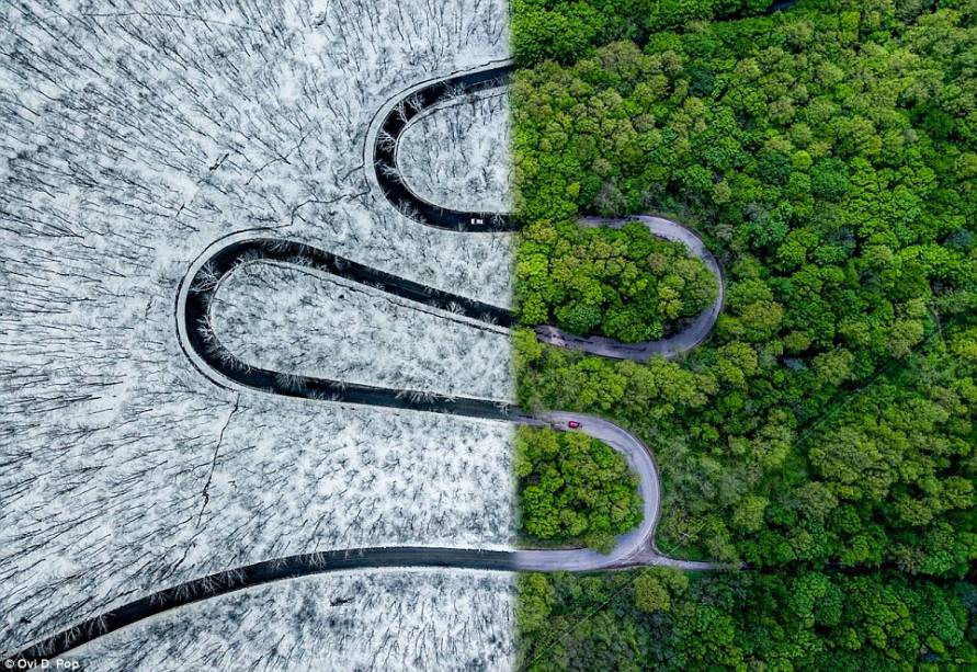 Na categoria "Abstrato" a foto campeã, de Ovi D. Pop,  registra uma estrada que passa diversas vezes por territórios com climas completamente diferentes