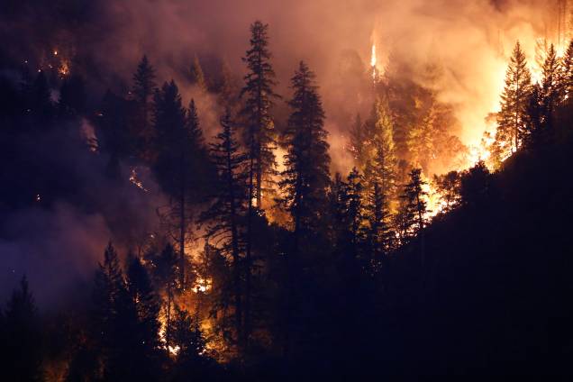 Área de floresta queima com as chamas do incêndio Carr a oeste de Redding, na Califórnia. Ao menos seis pessoas morreram e milhares deixaram suas residências desde o início do incêndio - 30/07/2018